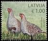 Stamp picture