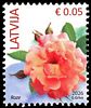Stamp picture