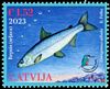 Stamp picture