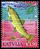 Stamp picture