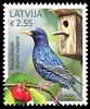 Stamp picture