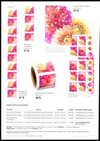 Stamp picture
