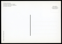 Stamp picture
